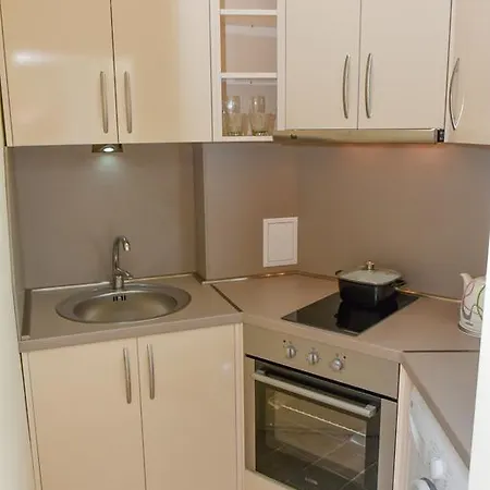 Luxury Apartment *