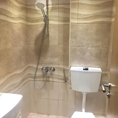 Luxury Apartment